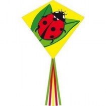 HQ Eddy Ladybug R2F